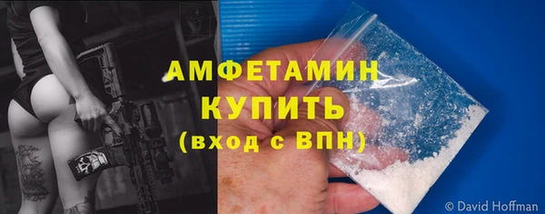 мет Алексин