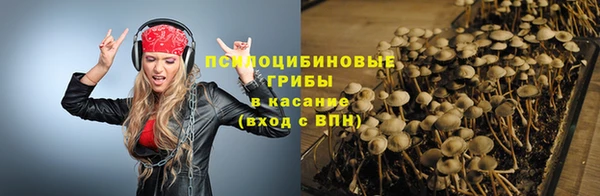мет Алексин